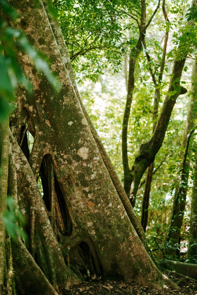 cole-keister-CkDNHFfW_ZQ-unsplash